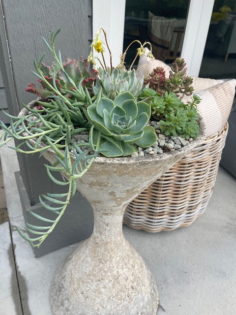 Willy Guhl Diablo Planter – STOOPS Design Vancouver
