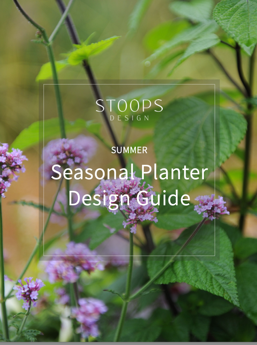 STOOPS Planter Design Guide SUMMER STOOPS Design Vancouver