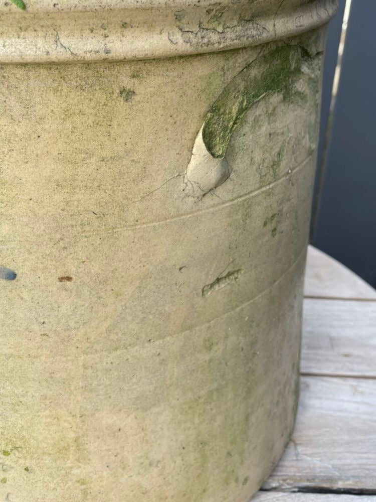 
                  
                    Aged Crockery Planter
                  
                