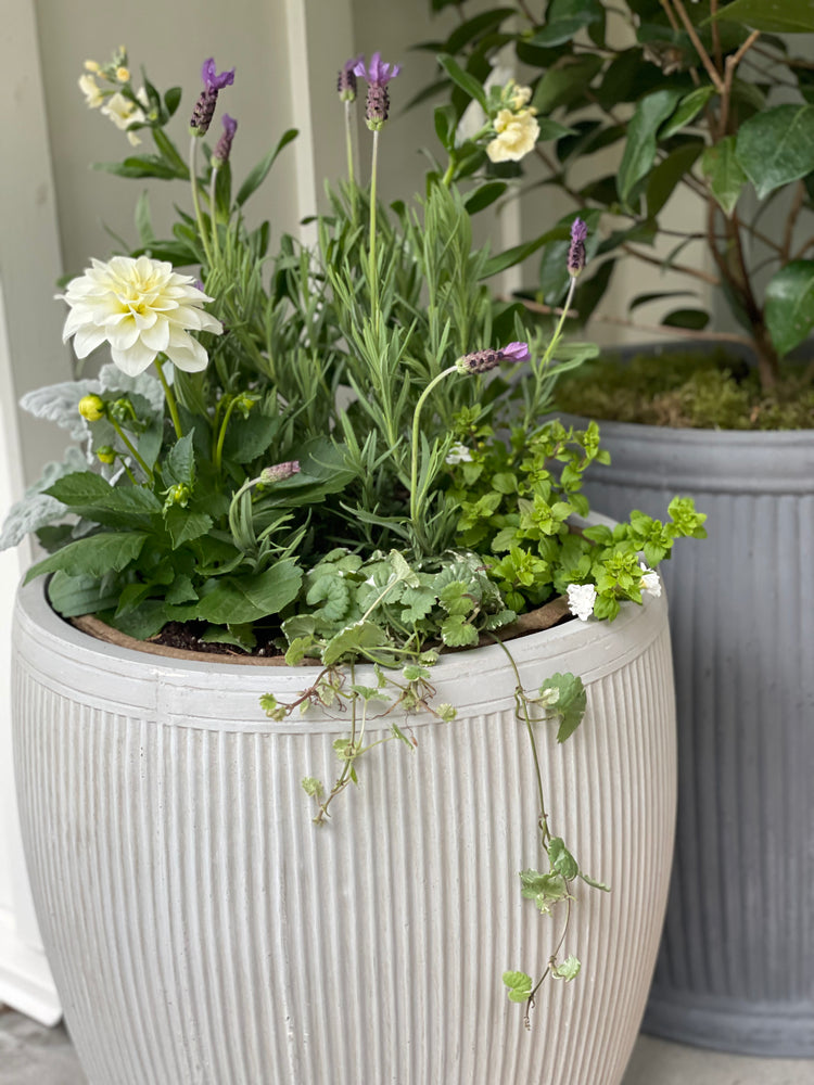 
                  
                    STOOPS Design Planter Kits - Mother's Day Edition
                  
                