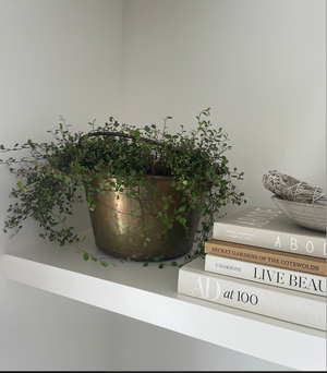 
                  
                    Copper Planter
                  
                