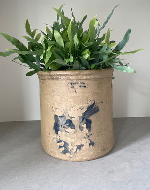 
                  
                    Aged Crockery Planter
                  
                