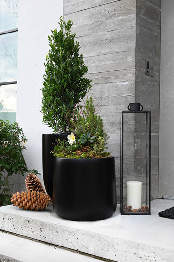 Bentwood Black Iron Lanterns