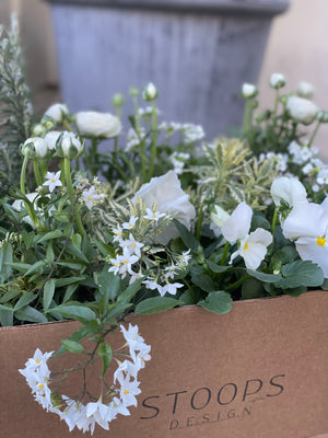 
                  
                    STOOPS Design Planter Kits - Mother's Day Edition
                  
                