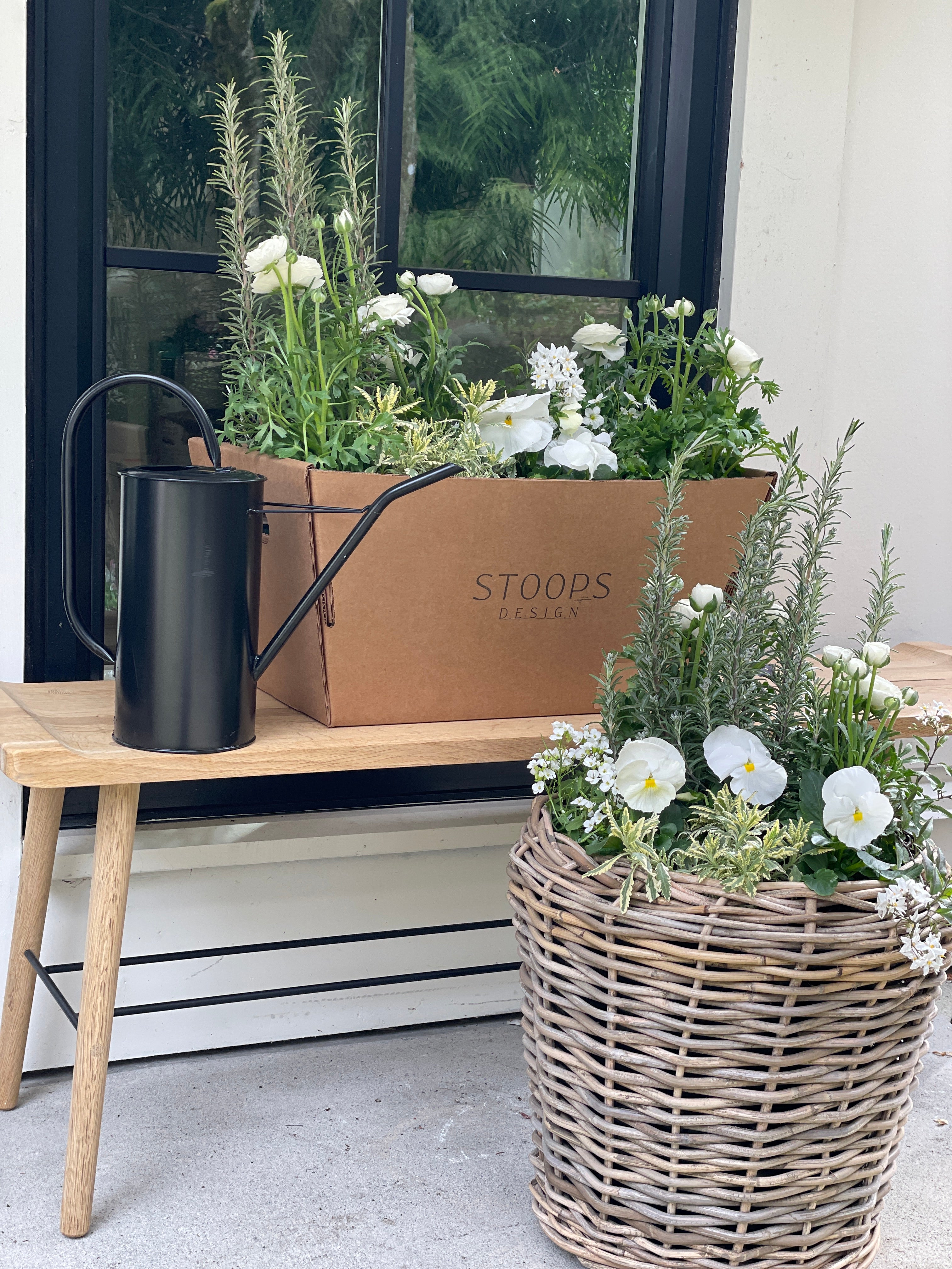 STOOPS Design Planter Kits - Mother's Day Edition (Preorder)