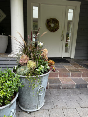 
                  
                    STOOPS Custom Planting - Fall Season
                  
                