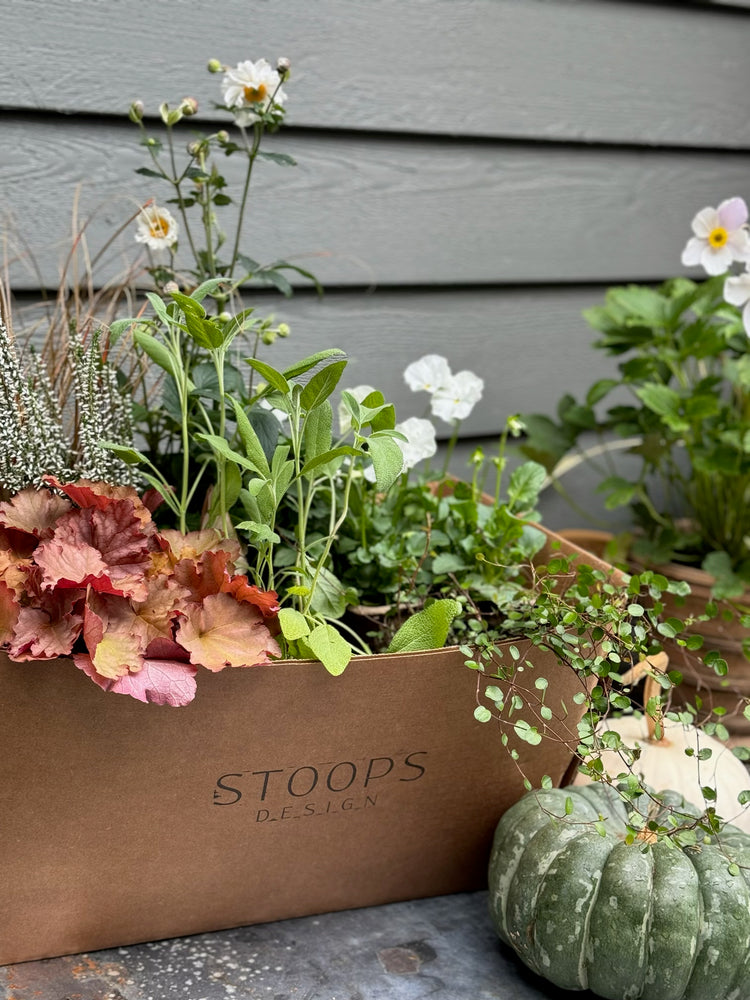 STOOP Fall Planter Workshop - Coming Soon