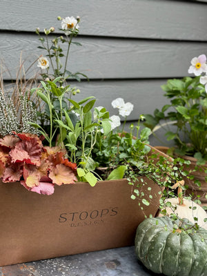 
                  
                    STOOP Fall Planter Workshop - Coming Soon
                  
                