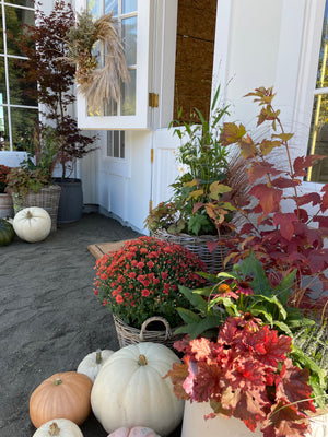 
                  
                    STOOPS Custom Planting - Fall Season
                  
                
