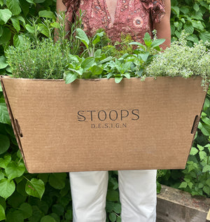 
                  
                    STOOPS Design Planter Kits - Mother's Day Edition
                  
                