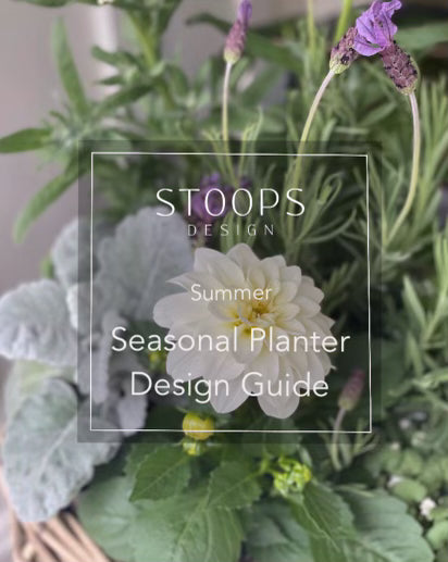 STOOPS Planter Design Guide - Summer Coming Soon