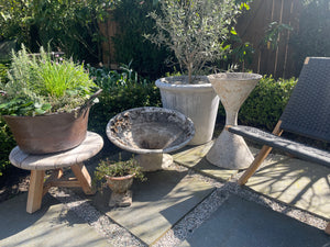 
                  
                    Willy Guhl Diabolo Planter
                  
                