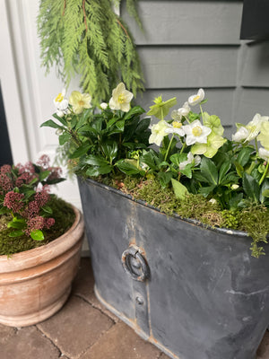 
                  
                    Zinc Planter
                  
                