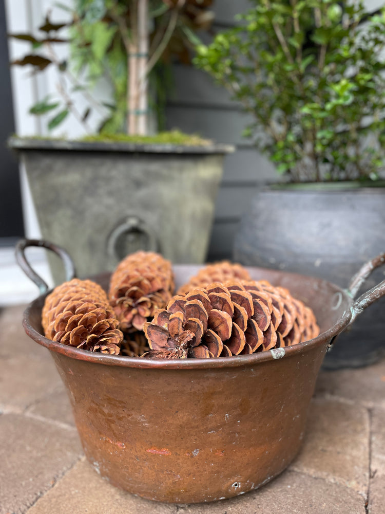 
                  
                    Large Copper Planter
                  
                