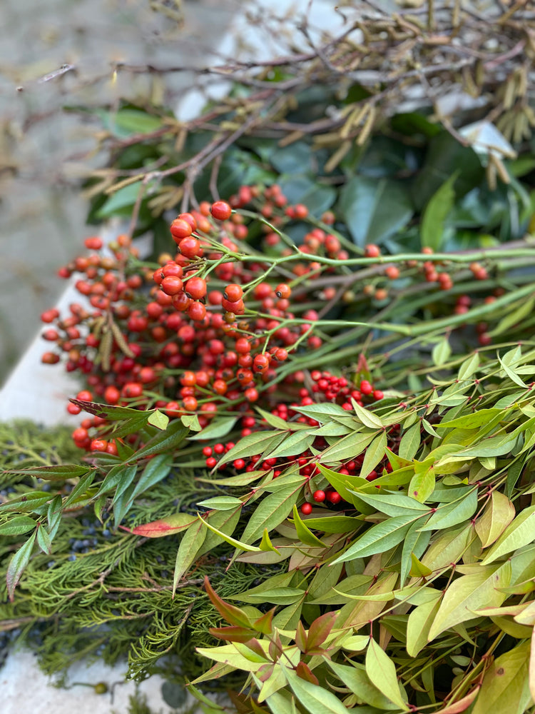 STOOPS Design Vancouver Seasonal Outdoor Container Planting