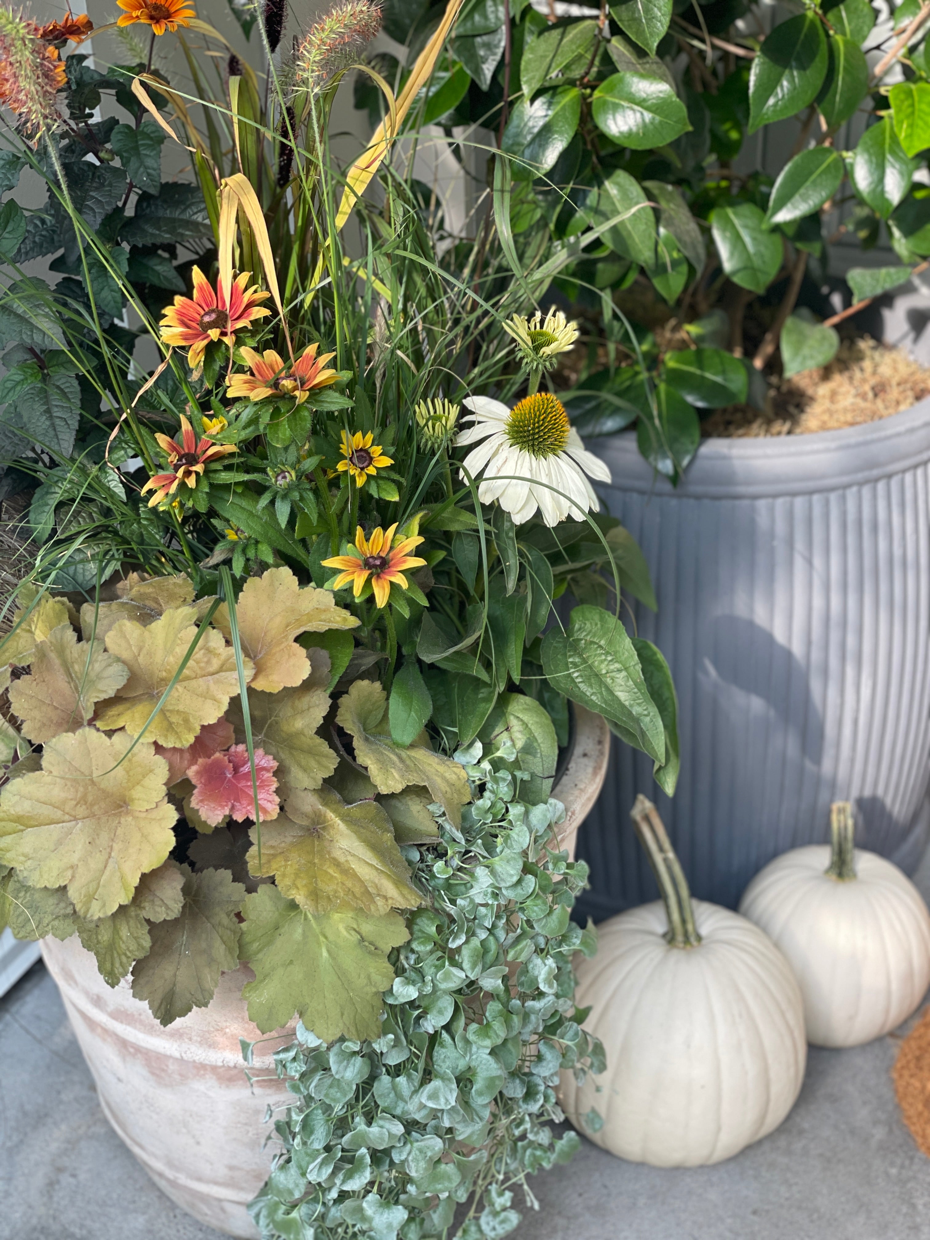 Seasonal Insert Subscription - Winter Pre-Orders