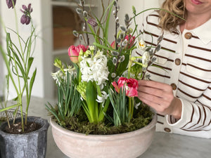 
                  
                    Spring Blooming Bulb Planter
                  
                