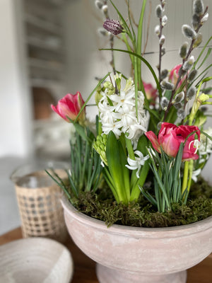 
                  
                    Spring Blooming Bulb Planter
                  
                