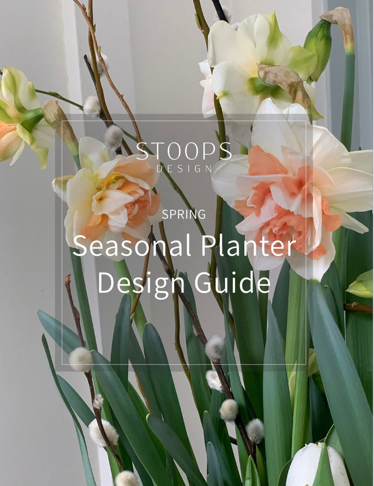STOOPS Planter Design Guide - SPRING
