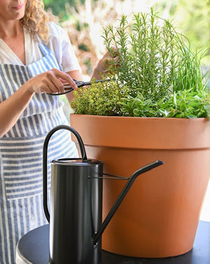 
                  
                    Black Metal Watering Can
                  
                