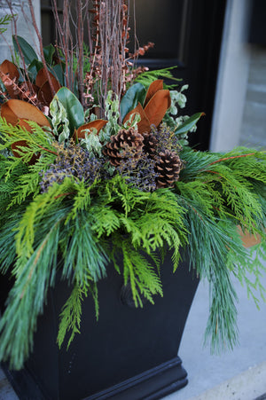 
                  
                    Custom Festive Greens Container Arrangement
                  
                