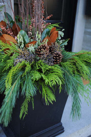 Custom Festive Greens Container Arrangement