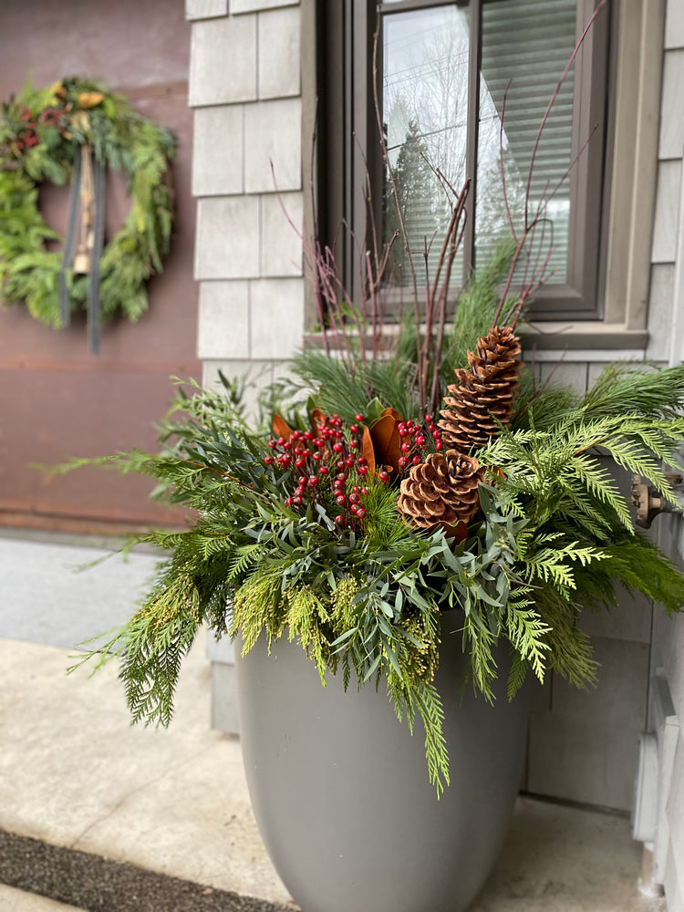 
                  
                    Custom Festive Greens Container Arrangement
                  
                