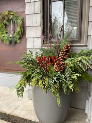 
                  
                    Custom Festive Greens Container Arrangement
                  
                