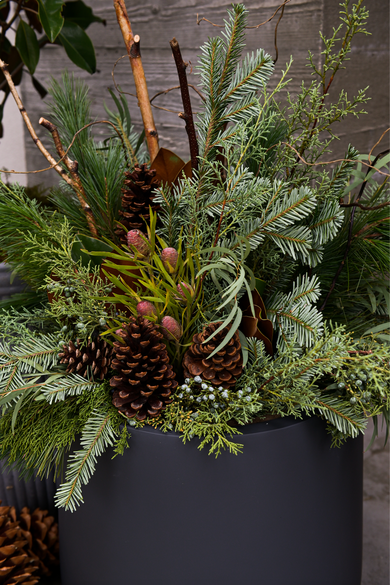 Seasonal Insert Subscription - Winter Pre-Orders
